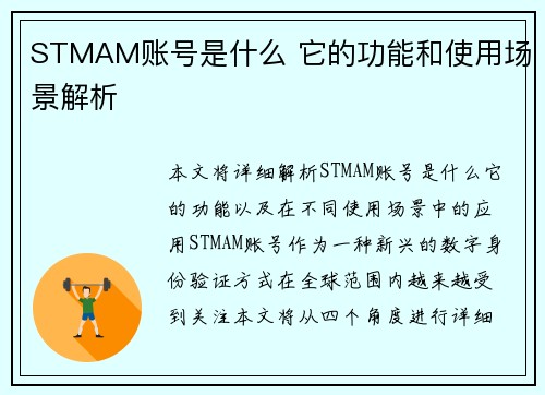 STMAM账号是什么 它的功能和使用场景解析 STMAM账号是什么 它的功能和使用场景解析
