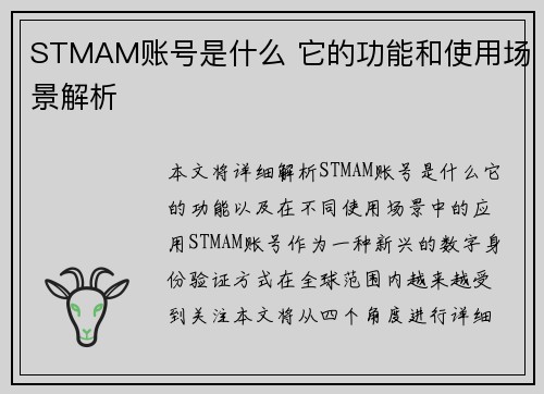 STMAM账号是什么 它的功能和使用场景解析