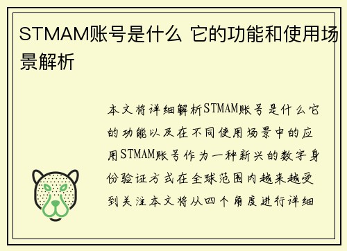 STMAM账号是什么 它的功能和使用场景解析