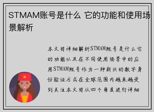 STMAM账号是什么 它的功能和使用场景解析